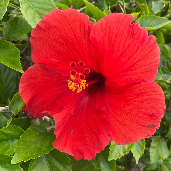 Meet us! One With The Sea - Picture 7 of 10